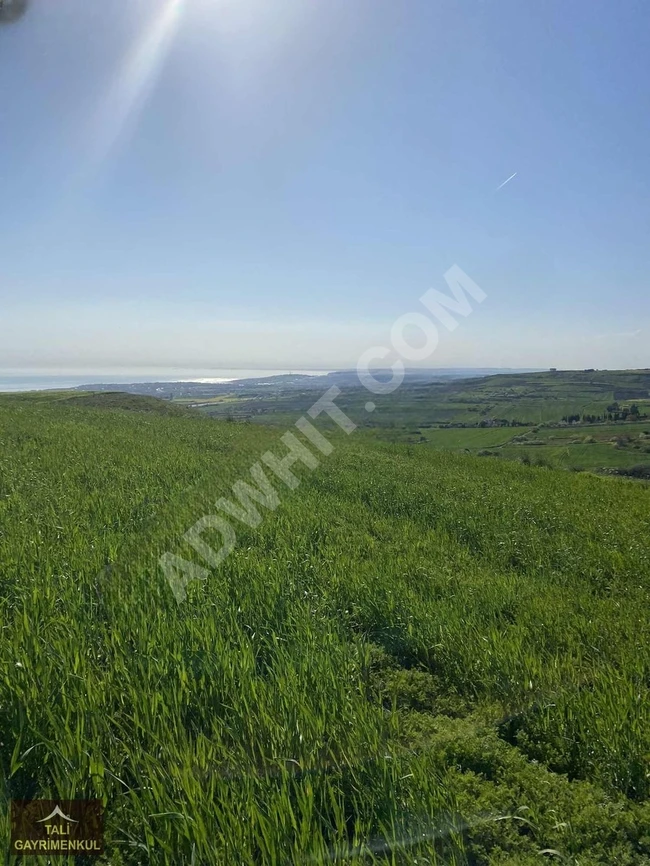 Agricultural land 345m2 for sale in Büyükçekmece Celaliye