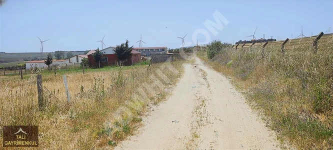 Land for sale with an area of 450m² next to the horse race in Silivri Kurfalı