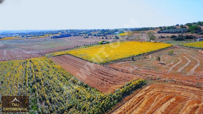 Agricultural land measuring 1500 square meters in Silivri Değirmenköy bağlar