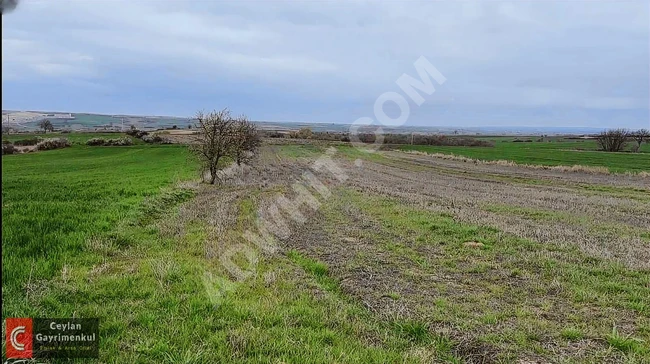 Land with an area of 4,335 square meters on the main road with water and electricity available in KUZUCU