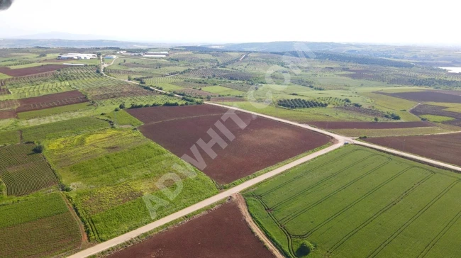 BANDIRMA ÇAKIL KÖYDE TİCARİ SATILIK ARSA