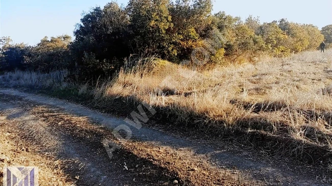 A plot of land with an area of 1978 m² with a single title deed and a private road, nestled in nature in the ÇELTİK area