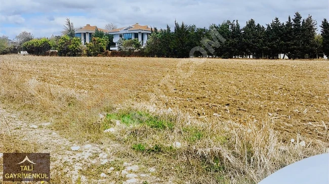 For sale: Independent land with an area of 1000 m² prepared for a villa in Silivri Ortaköy