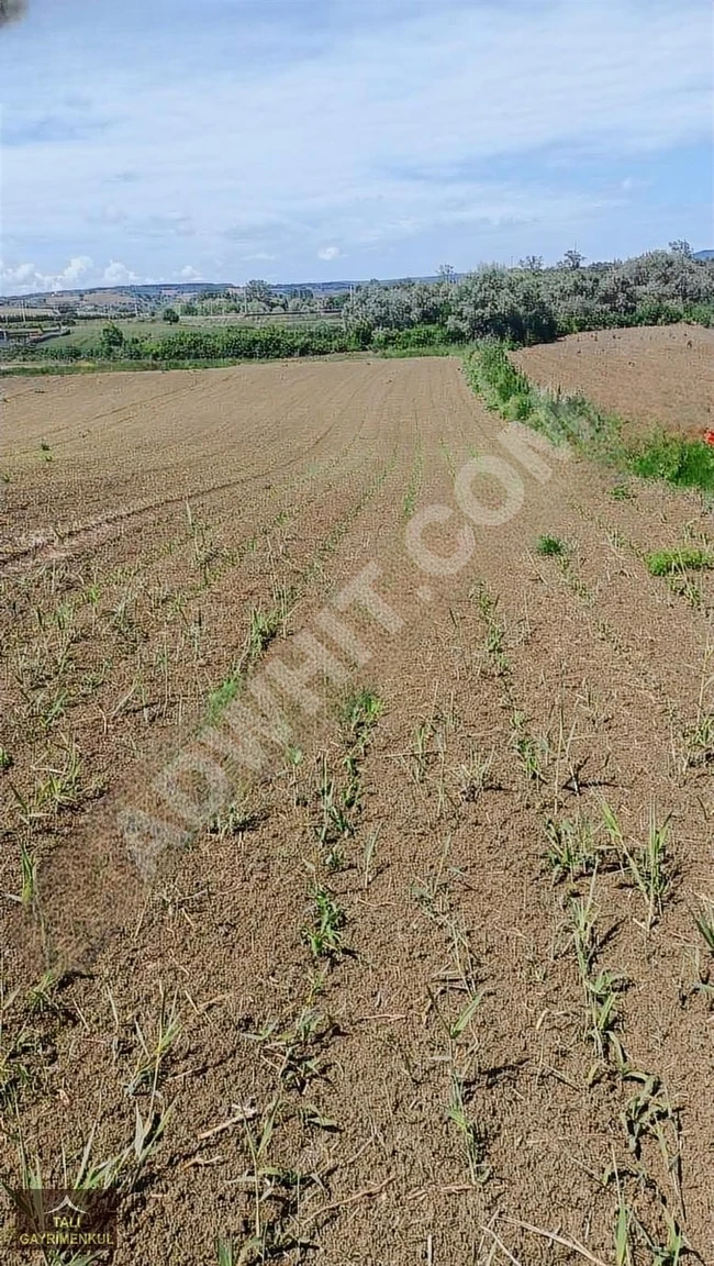 For sale: A plot of land with an area of 375 square meters in SİLİVRİ AKÖREN in an excellent location