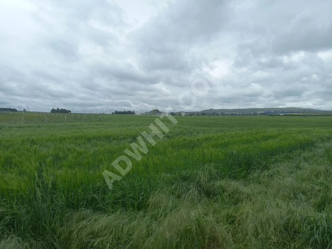 For sale: Land prepared for a villa with an area of 1600 m² in SİLİVRİ GÜMÜŞYAKA