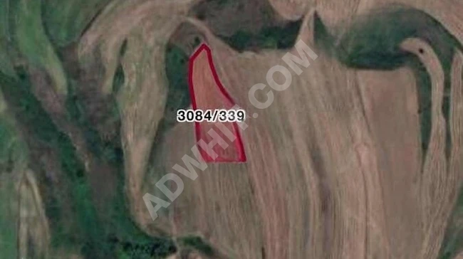 For sale: Independent agricultural land in Silivri Kurfalı