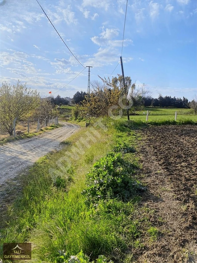 For sale: Plot of land, 450 square meters on the street in the center of SİLİVRİ GAZİTEPE