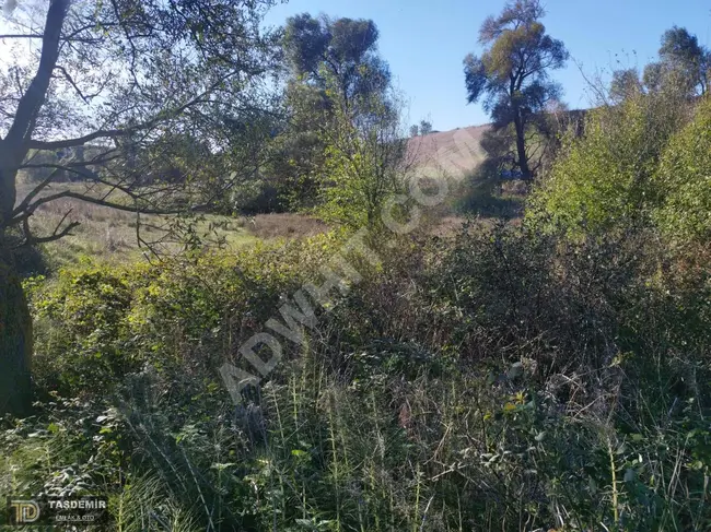 For sale at a reasonable price: 4 plots of land with an area of 3188 m² in Silivri Kadıköy