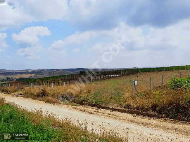 Land at a licensed price for sale within the village of BALABAN