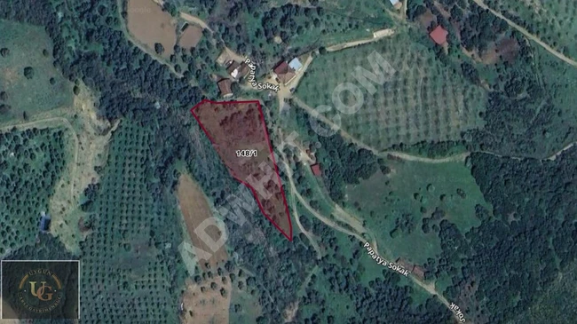 Land suitable for olive cultivation inside the village in İZMİR TİRE PEŞREFLİ