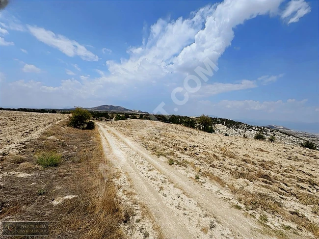 BURDUR MERKEZDE GÖL MANZARALI 7.220M2 UYGUN ARSA