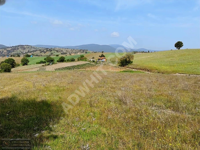 Suitable land with an area of 4540 square meters in BURSA BÜYÜKORHAN KINIK