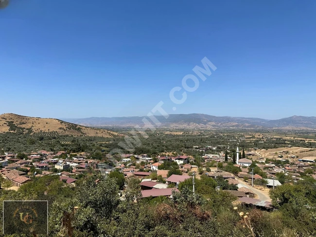 Land suitable for olive cultivation inside the village in İZMİR TİRE PEŞREFLİ