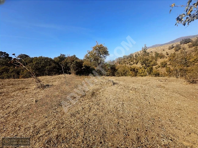 Land suitable with an area of 7,120 square meters inside the village of Uşak Eşme Manavlı Köy