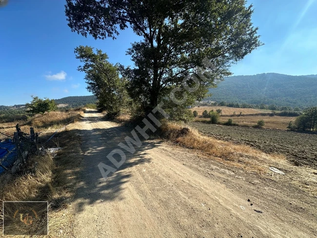 BALIKESİR SINDIRGI YÜREĞİL'DE ANAYOLA CEPHE 18.168M2 UYGUN ARSA