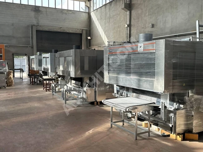 Production lines for Arabic bread and oven equipment