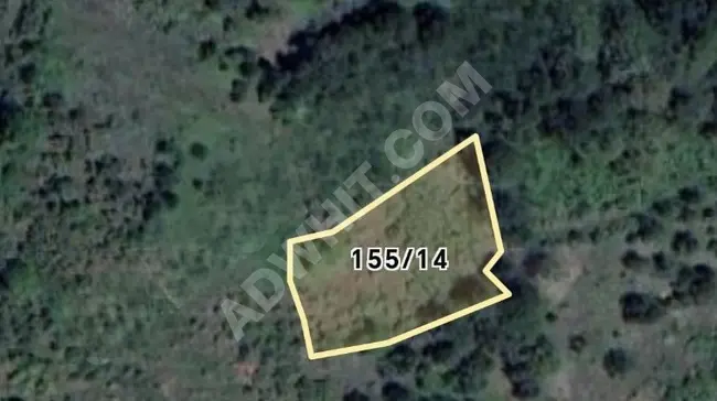 Independent land with an area of 1510 square meters planted with hazelnuts in SAKARYA GEYVE BELPINAR