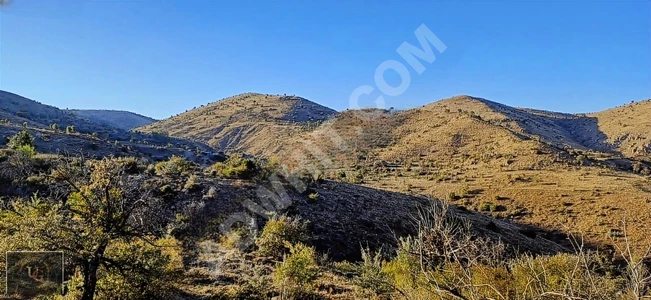 Suitable land with an area of 42,103 square meters near the center of AFYONKARAHİSAR, ŞUHUT