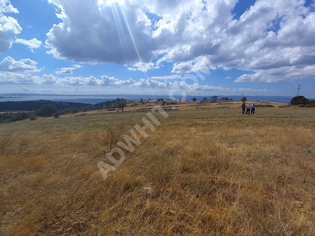 Two plots of land in the SİLİVRİ KEŞAN SAZLIDERE area from ESER REAL ESTATE