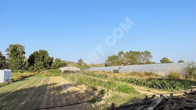 Independent land with an area of 3921 square meters in the village of Beykoz Cumhuriyet