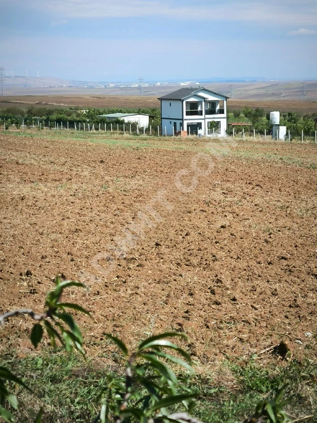 Almond land with an area of 5200 square meters for sale in Marmara Ereğlisi with building permission