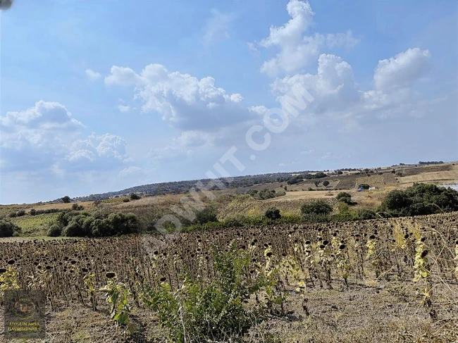 Suitable land with an area of 9,500 square meters in the BALIKESİR MANYAS ŞEVKETİYE area, overlooking the main road