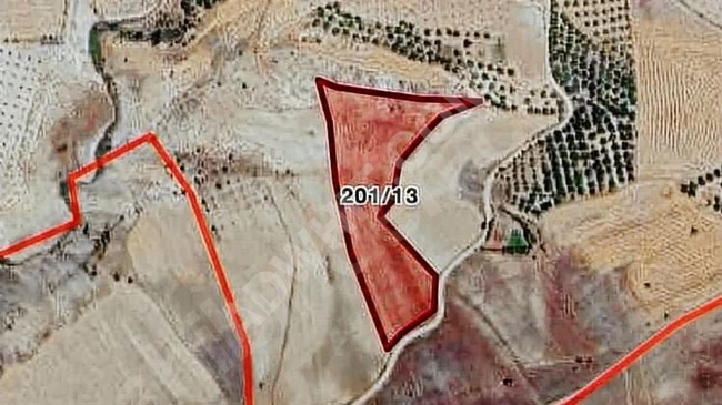 Investment land with an area of 16 dunams in the village of Elazığ Baskil Karakaş