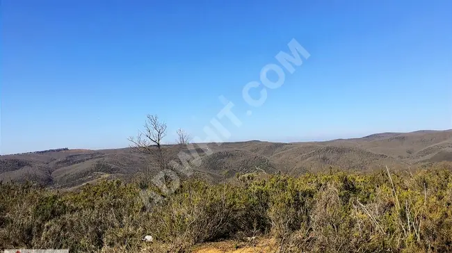 Land opportunity for sale with an area of 3,417 square meters in Gönen Sarıköy