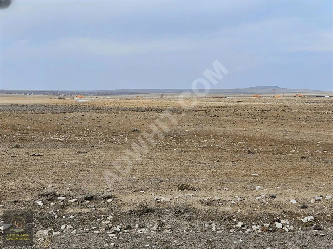 KONYA EMİRGAZİ DEMİRCİ'DE ANA YOLA 560 METRE CEPHELİ UYGUN ARSA