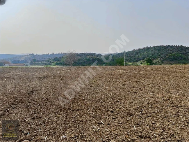 Suitable land with an area of 3,807 m² in BALIKESİR SUSURLUK DEREKÖY