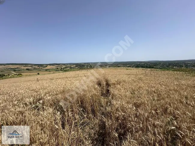 Agricultural land with an area of 14 dunams next to ÇAMLICA complex between AKÖREN-KABAKÇA