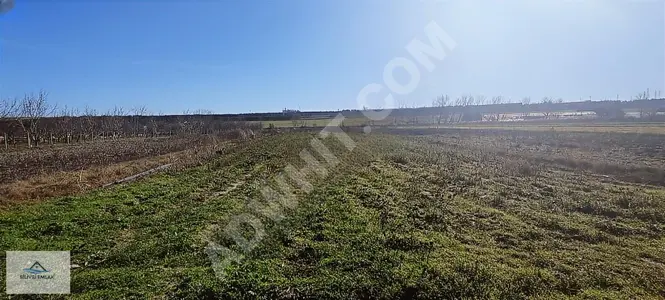 For sale: Independent agricultural land with road frontage in Silivri Çeltik