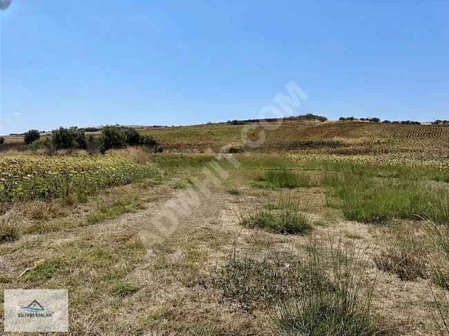 Land for sale with an area of 3500 m2 - Independent deed - in the village of TATARLI in HAYRABOLU