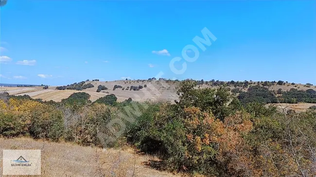 Opportunity for agricultural land for sale, independent with a large area and single ownership in Büyüksinekli