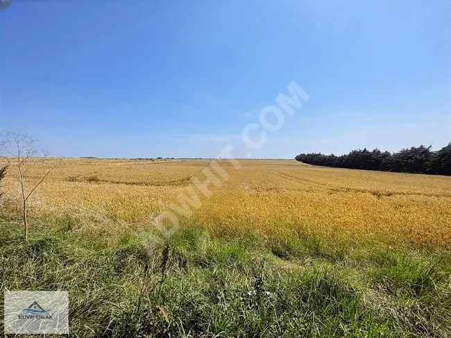 Agricultural land for sale with an area of 100 meters on the asphalt road in SİLİVRİ FENER