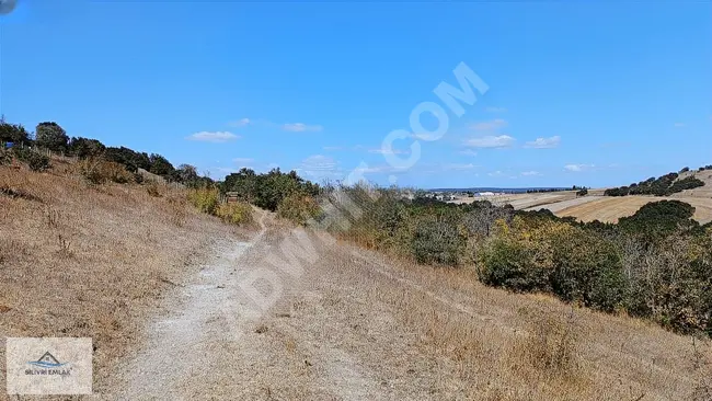 Opportunity for agricultural land for sale, independent with a large area and single ownership in Büyüksinekli