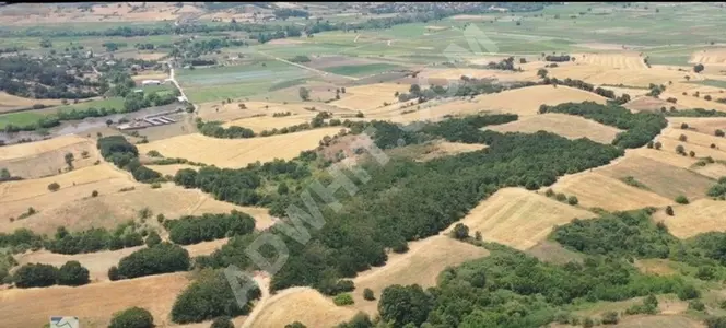 ÇANAKKALE BİGA ŞİRİNKÖY 5.937 M2 SATILIK YATIRIMLIK TARLA