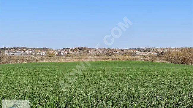 MUHACIRKADI KÖYÜNDE RESMÎ YOLA CEPHE 3850 M2 UYGUN FİYAT TARLA