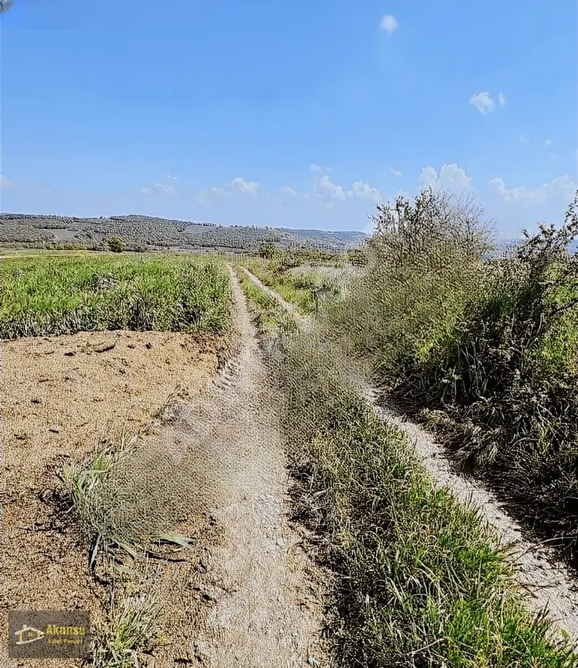 AKANSUDAN RUHSAT İZNİ ALINMIŞ 2ADET YAN YANA YOL CEPHELİ TARLA