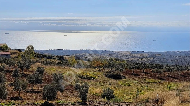 TEKİRDAĞ ŞARKÖY'DE SATILIK DENİZ MANZARALI İMARLI PROJELİ ARSA