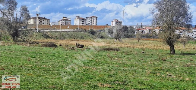 أرض مرخصة للبناء  للبيع على جانب الطريق  بمساحة 13,200 متر مربع فيKastamonu Seydiler .