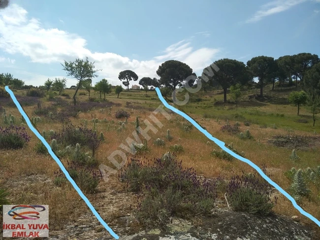 MUĞLA MİLASTA DOĞAYLA İÇ İÇE VİLLALIK 1700 M2 ARSA