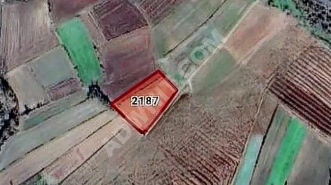 Land with an area of 383 square meters near the village in EDİRNE - UZUNKÖPRÜ - KIRKKAVAK.