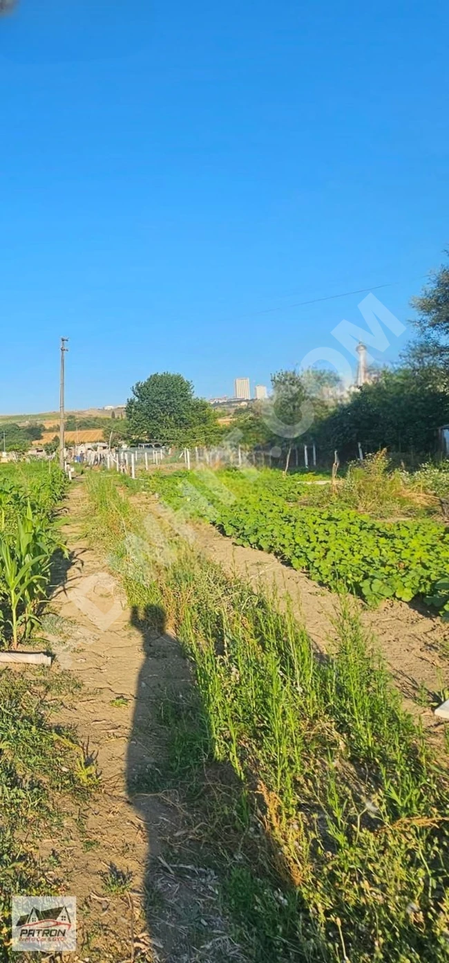 BÜYÜKÇEKMECE MERKEZDE YATIRIMLIK HOBBİ BAHÇESİ 253 M2