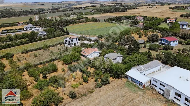 Two villas with a farm and fruit orchard in the area of ÇATALCA OVAYENİCE