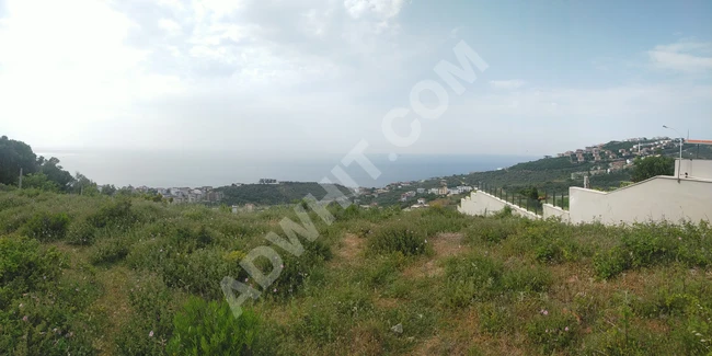 Plot of land approved for villa construction in the YALOVA ESENKÖY area