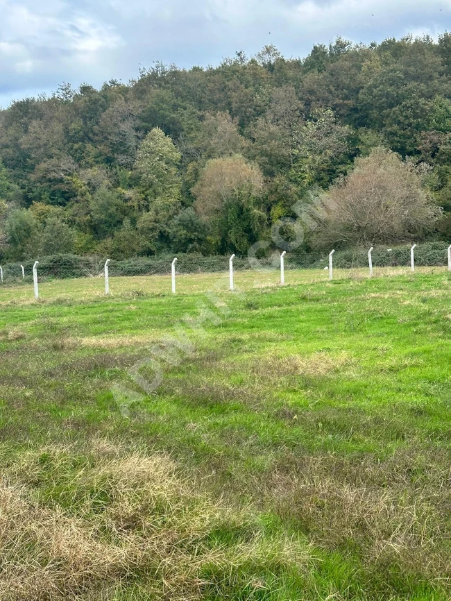 An agricultural land - with an area of 612 square meters - in Çatalca Karacaköy.