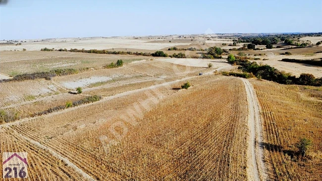 A plot of land overlooking the road with 3 separate title deeds near the center of Edirne Havsa Azatlı village.