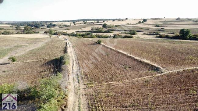 A plot of land overlooking the road with 3 separate title deeds near the center of Edirne Havsa Azatlı village.