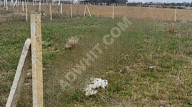 Investable agricultural land for sale in BEYCİLER